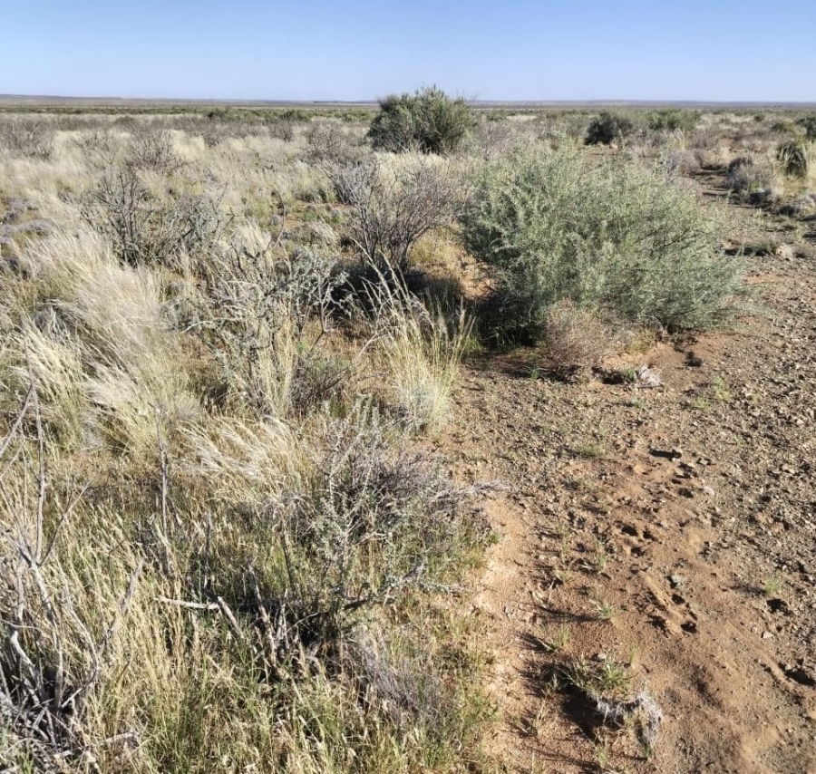 0 Bedroom Property for Sale in Williston Rural Northern Cape